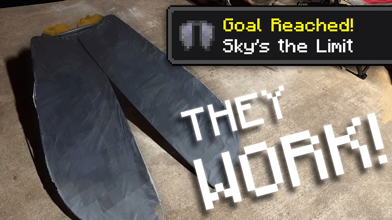 I Made ELYTRA In REAL LIFE