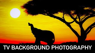 Amazing TV Background Photography | Lockdown