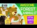 Forest Animals! | videos for babies, toddlers, kids | Little Genius TV™