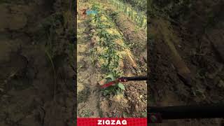Durable Soil Cultivator Tool for Weeding and Loosening Soil in Crop Rows