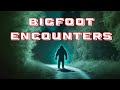 3 hours of shocking bigfoot stories  bigfoot encounters