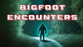 3 hours of Shocking Bigfoot Stories | Bigfoot Encounters