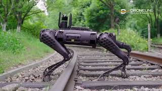 Unitree B1 - Robot dog (LiDAR, Sniffer4D, Wasserfest) | droneline shop