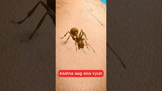 Cheenti🐜 Ka Asli Weapon Kya Hai? 😨#shorts #trending