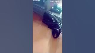 Melati suci Mansur s