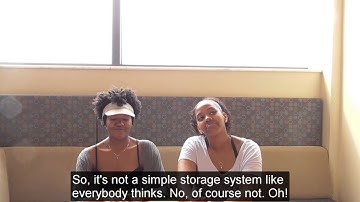 Working Memory - Cognitive Science