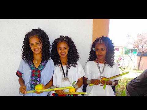 Meselu Hagos Interesting Raya Song Best Traditional Music 2020
