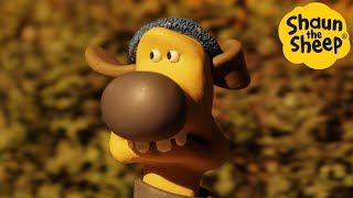 Shaun the Sheep 🐑 Dog on the RUN! - Cartoons for Kids 🐑 Full Episodes Compilation [1 hour]