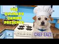 The Culinary Canine Presents: Whats For Dinner With Chef Eazy