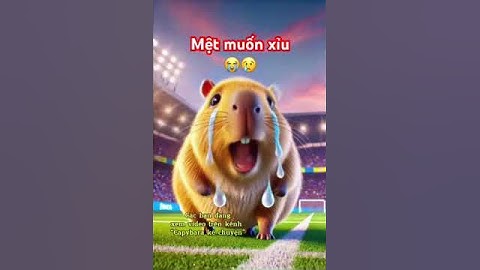 Mệt muốn xỉu 😭 Capybara cần lắm một cái ôm ấm áp 💕