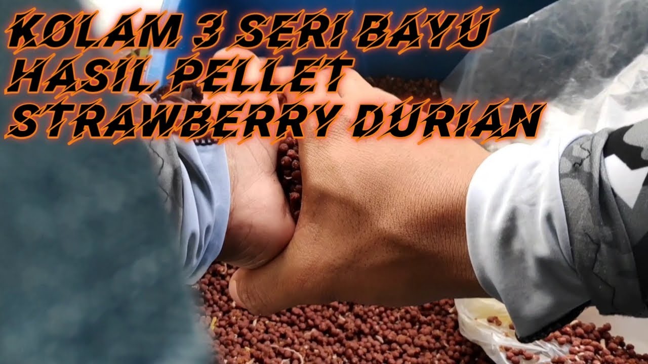 hasil sos strawberry durian (bv#37)