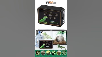🌿 Smart Reptile Humidifier – Perfect Climate for Your Pets! 🦎