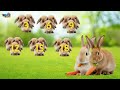 Understanding Multiples