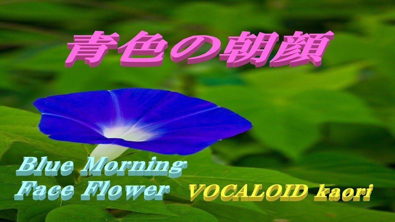 青色の朝顔 Vocaloid Kaori Youtube