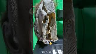 Rip My Michael Myers Mask 2019 - 2022