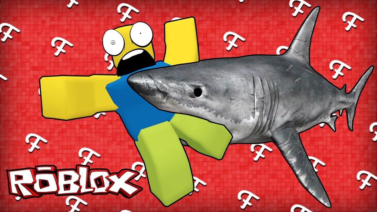 Roblox Shark Bite Game Survival Huge Megalodon Flood Escape Map