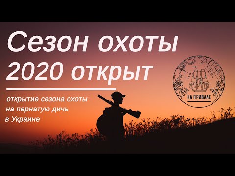 Сезон охоты 2020. Открытие в двух частях. все в одном видео