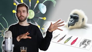 Celebrity AI as a new WAY of BEING (an evolutionary step forward) Profile