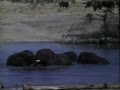 Okavango Delta