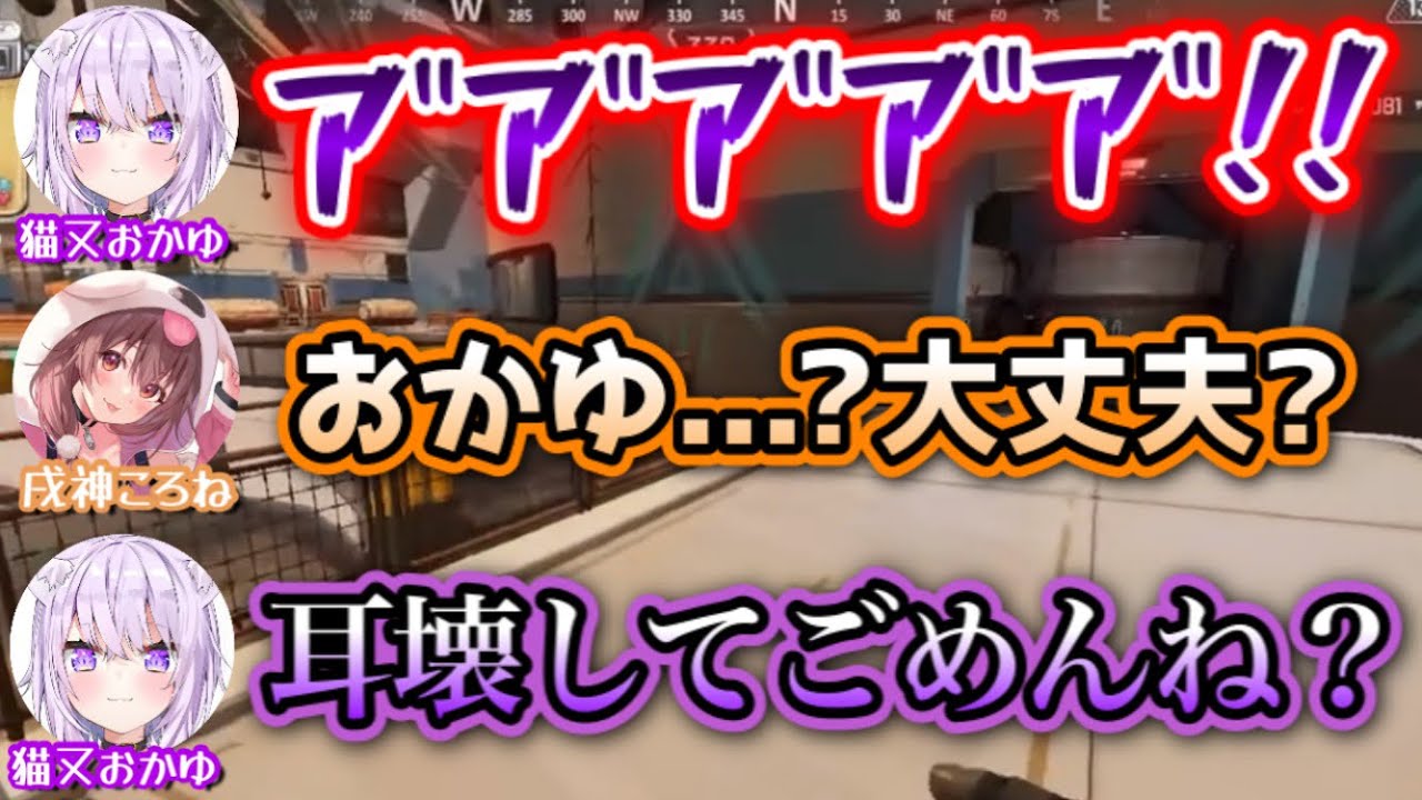 事件性のある悲鳴をあげるおかゆ【戌神ころね,猫又おかゆ】
