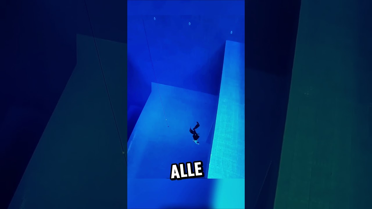 Der Mut, tief zu tauchen😮