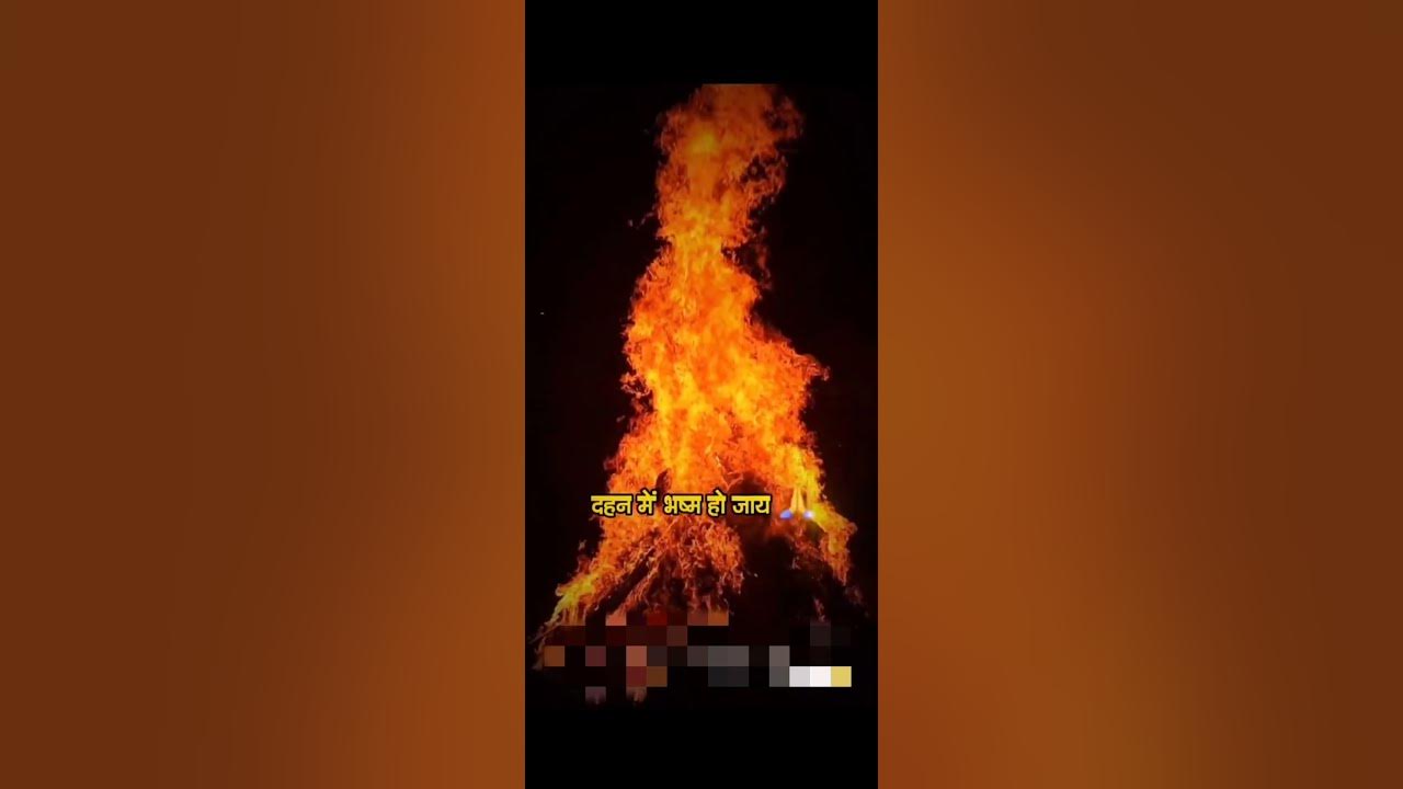 new holi whatsapp video 2025