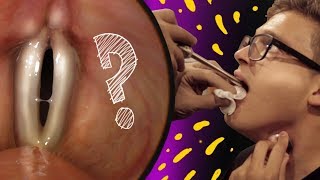 A Beatboxer's Vocal Cords  -Tom Thum (Live From the Larynx ep1.)