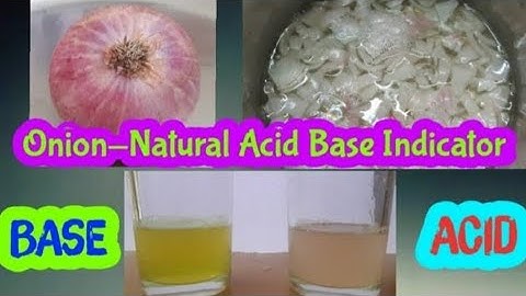 Onion-Natural Acid Base Indicator🌰🌰