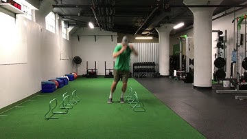 DIAGONAL HURDLE HOPS