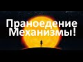 Праноедения (солнцеедение). Механизмы перехода - Лабиринты Знаний