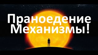 Праноедения (солнцеедение). Механизмы перехода - Лабиринты Знаний