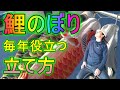 [鯉のぼり] 東洋紡「天華」　2021年、古民家に暮らすプロガーデナーが今年も鯉のぼりを立てました。