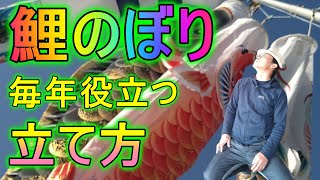 [鯉のぼり] 東洋紡「天華」　2021年、古民家に暮らすプロガーデナーが今年も鯉のぼりを立てました。