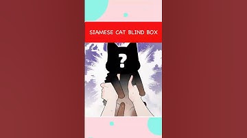 Siamese Cat Blind Box