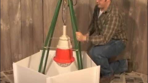 How to set up a Chick Brooder