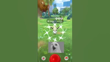 Shiny ✨ eevee pokemon with High CP #pokemon #shiny #eevee #high #afternoon