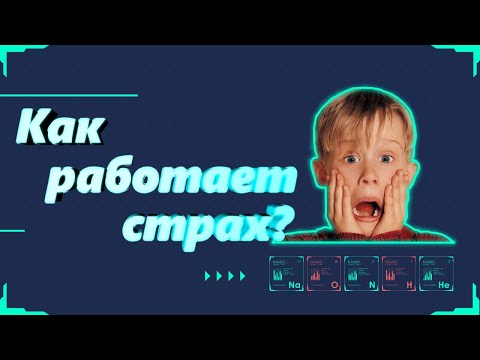 Страх. Как работает страх? Как устроен и какие виды страха бывают.