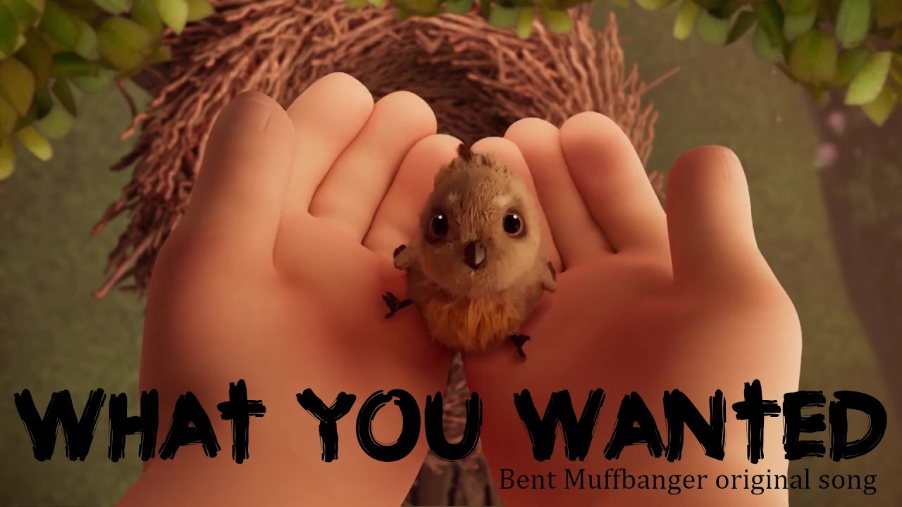 What you wanted - Bent Muffbanger original song