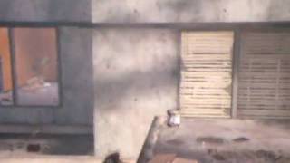 MW2 bug favela
