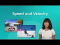 Speed and Velocity Quiz