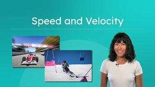 Celebrity Speed and Velocity Wealth