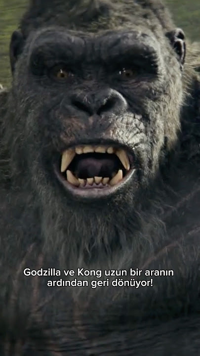Godzilla Ve Kong Geri Dönüyor! Monarch Legacy Of Monsters 2. Sezon