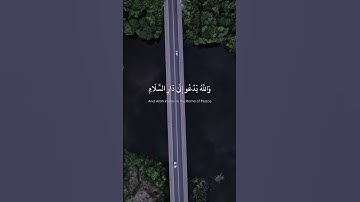 (وَاللَّهُ يَدْعُو إِلَىٰ دَارِ السَّلَامِ ...) سورة يونس الآية 25 القارئ رعد الكردي