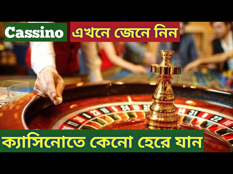 JeetWin Gambling establishment Review 2023: Sunny Leone's On-line casino!