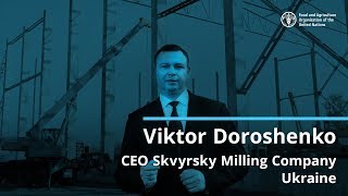 Reviving Ukraine’s Breadbasket.  Investing in grain policies, farmers and infrastructure screenshot 3