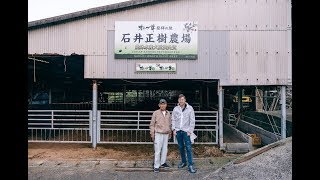 Olive Wagyu - Journey to American Plates