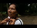Amazon Price Fixing SCANDAL! | Fire TV Lawsuit, Amazon Shopper Warnings, Amazonia Conservation