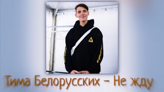 Тима Белорусских - Не жду (демо-сниппет/отрывок) Тима Белорусских - Не жду (демо-сниппет/отрывок)