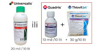 Prskanje Vinograda U Početnoj Fazi Razvoja Loze