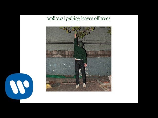 Wallows - Pulling Leaves Off Trees